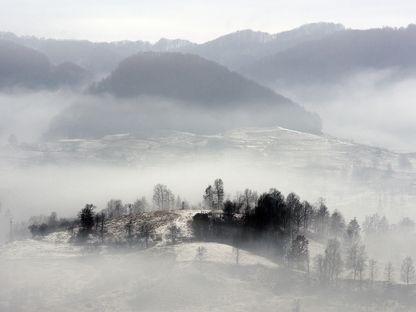 Cod roșu de tristețe, argintiu de frumusețe