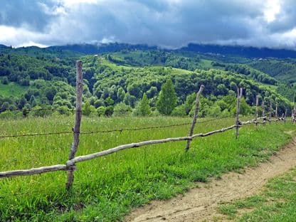 Obsesia noastră pentru garduri: România, printre țările care își sufocă în tăcere natura