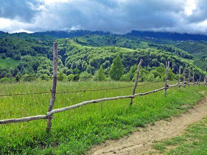 Obsesia noastră pentru garduri: România, printre țările care își sufocă în tăcere natura