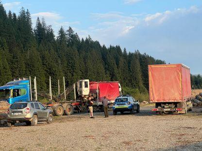 Pentru a lupta cu Gheorghe Flutur și „Mafia Lemnului”, AUR s-a aliat cu politicieni și afaceriști suspectați că taie pădurile din Bucovina în mod ilegal. Legături cu Schweighofer și cele mai mari multinaționale din domeniul forestier