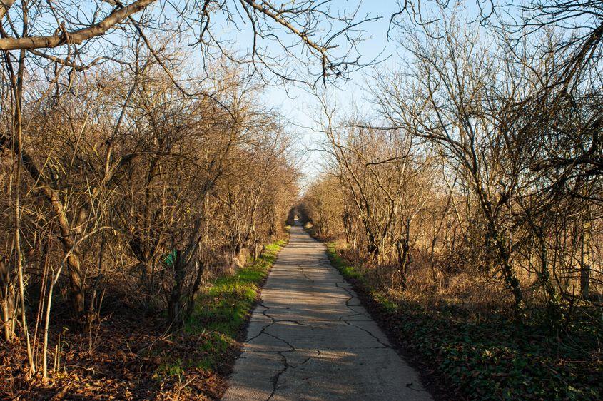 În prezent, de spațiu verde din zona fostelor sere nu se poate bucura nimeni. Terenul este administrat de ADS, dar aleile aparțin unei firme private. Foto: Ion Mateș