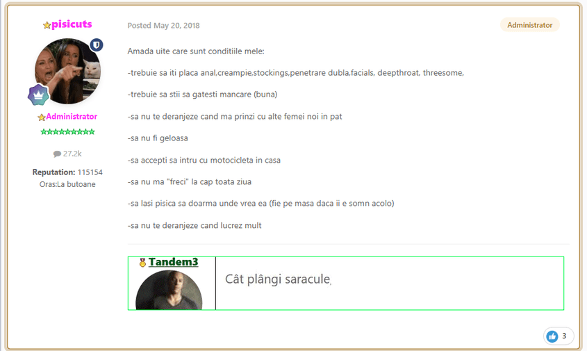 Bogdan Velescu îi explică unei utilizatoare cum arată „femeia perfectă” pentru el. Captură de ecran via Nimfomane.com