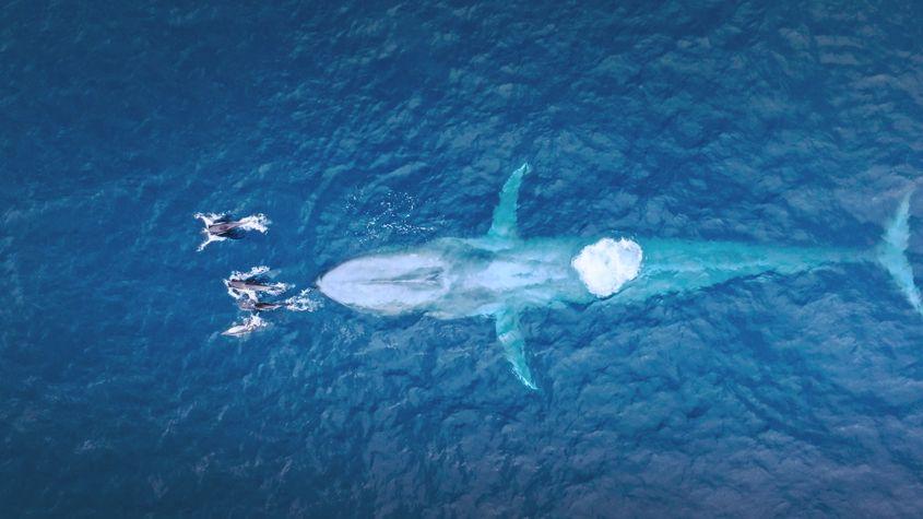 © Christian Baumeister, Light & Shadow GmbH