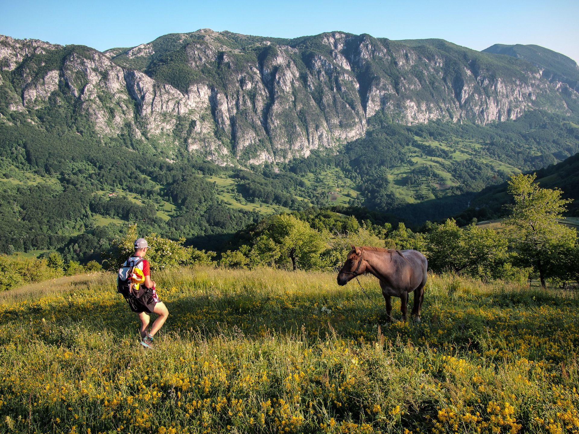 Culmea munților Mehedinți. Foto: Mircea Gherase