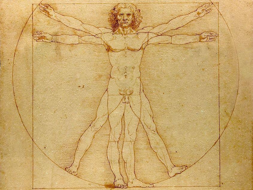 "Proporțiile corpului uman conform lui Vitruviu" sau "Omul vitruvian", desen realizat de Leonardo da Vinci în jurul anului 1490.