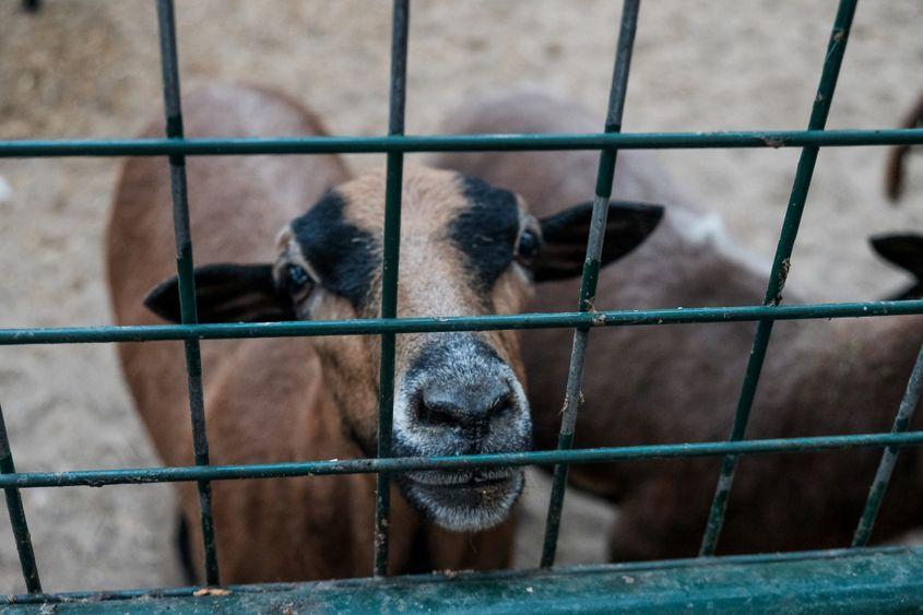 Foto © Bookdreamerjulia | Dreamstime.com