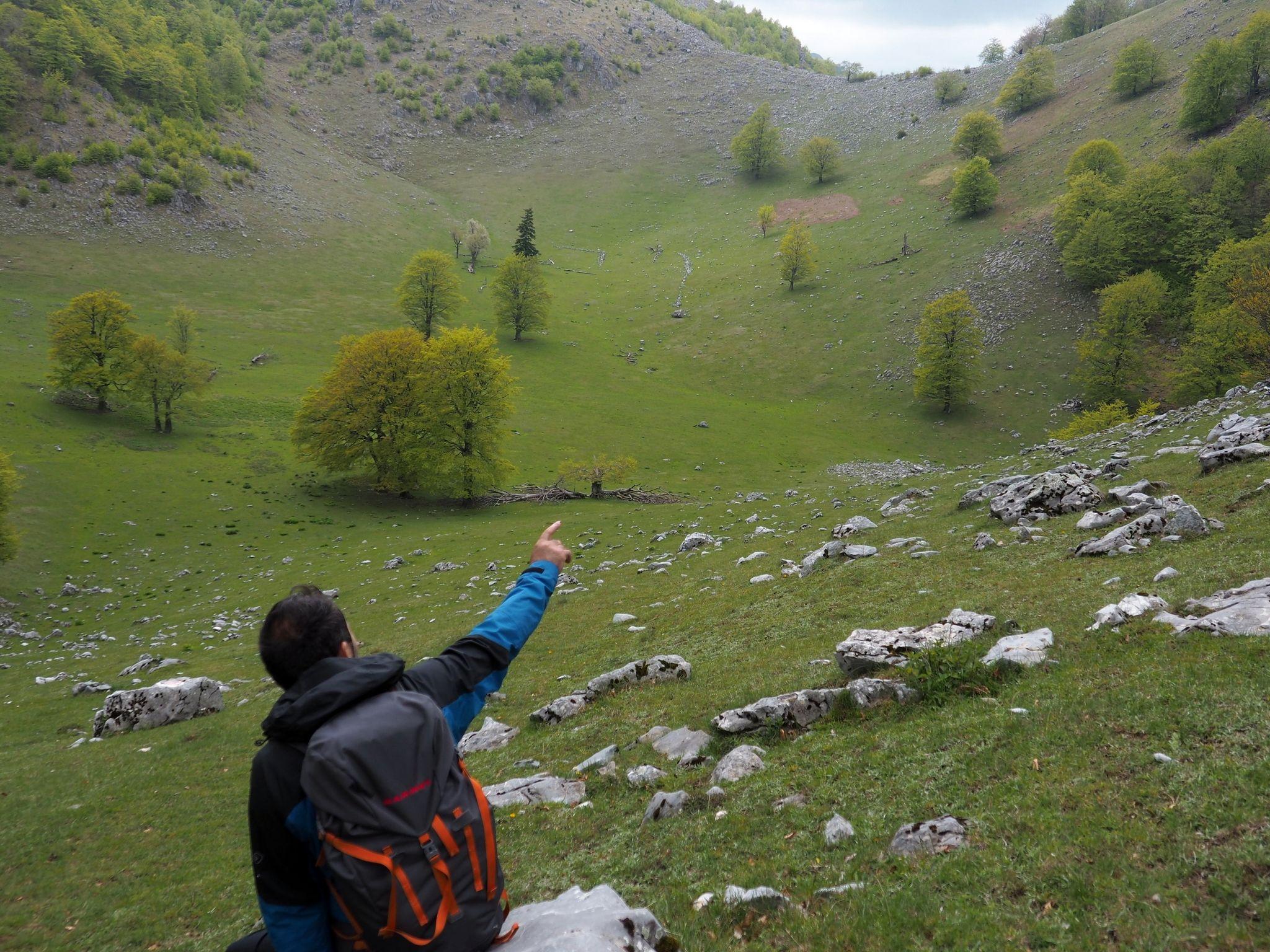 Crovul Mare, nu departe de Poiana Beletina