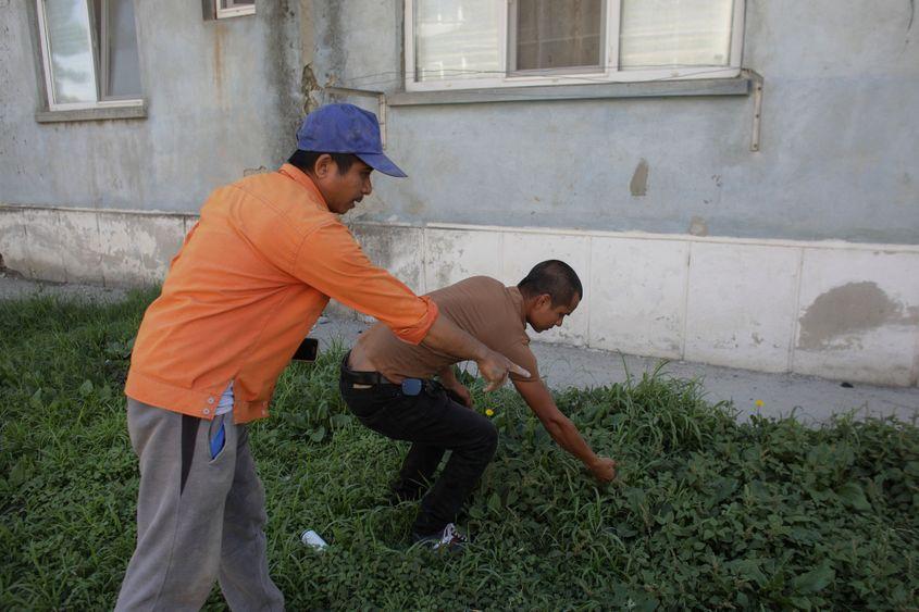 În 2020, la Hîrșova, județul Constanța, 30 de muncitori rămași blocați în România s-au apucat să gătească plante de lângă bloc atunci când au rămas fără mâncare. Foto: Inquam Photos / Octav Ganea