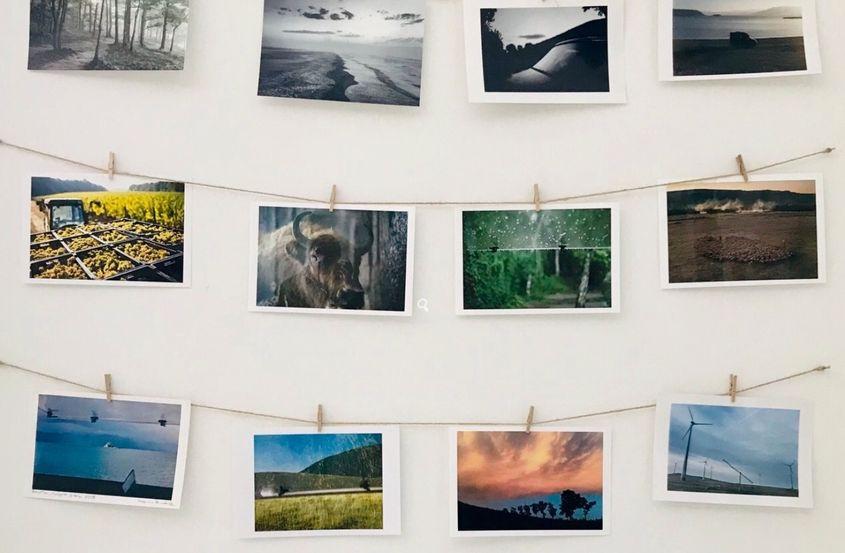 <a target="_blank" rel="noreferrer noopener" href="https://teleleu.eu/vederi/" target="_blank"><strong>Teleleu.eu/vederi</strong></a>