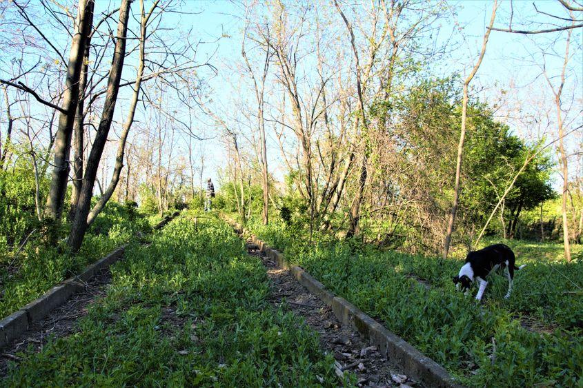 Rampa de unde se lansau rachete, în fosta unitate militară.