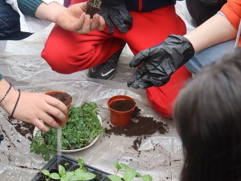 FOTO: Stațiunea de Cercetare și Dezvoltare pentru Legumicultură (SCDL) Buzău