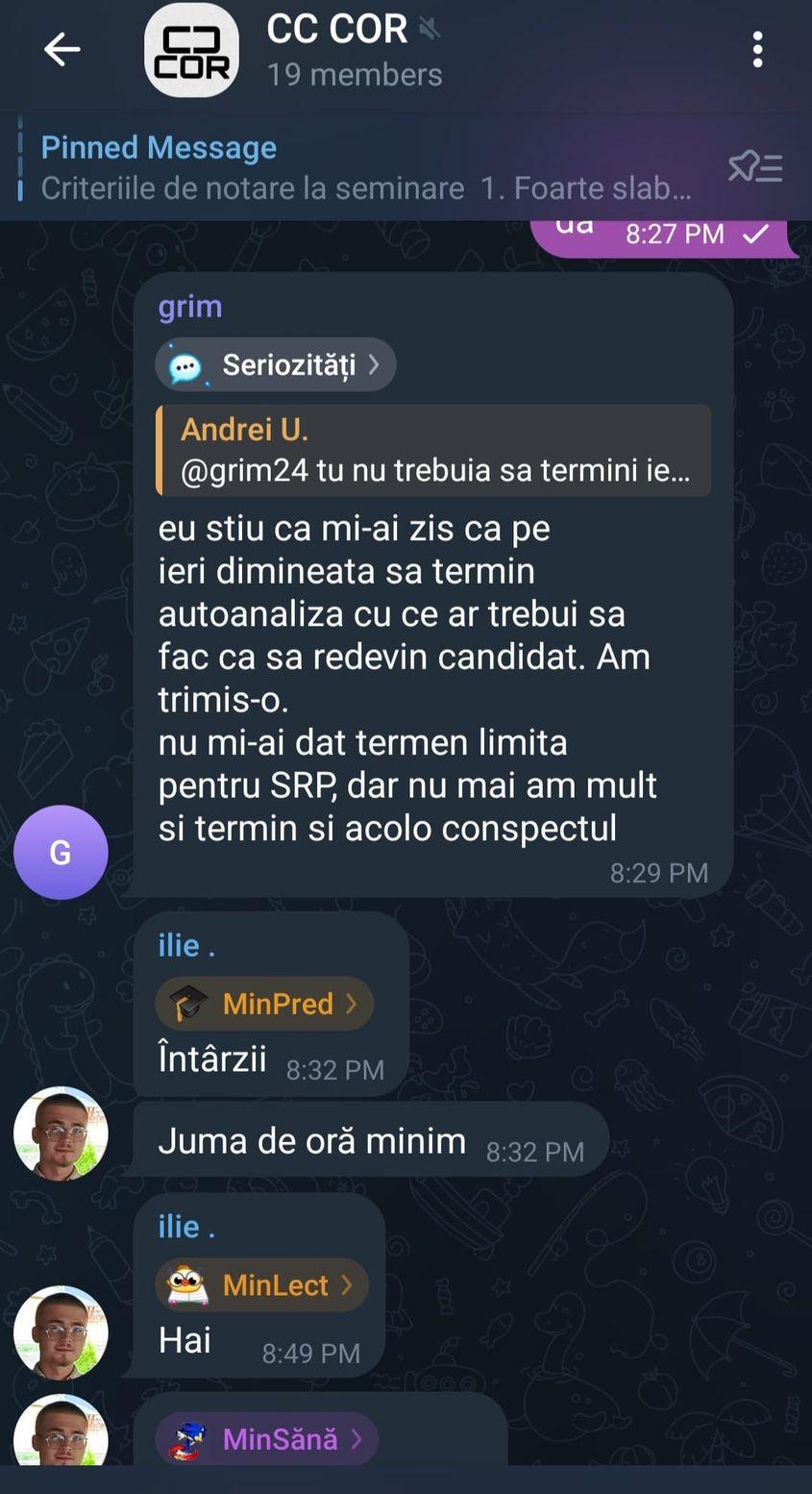 Răzvan Andrei C., cunoscut de chat ca „Andrei Ursu”, le trasează sarcini celor care vor să devină „candidați”. Captură de ecran via Telegram