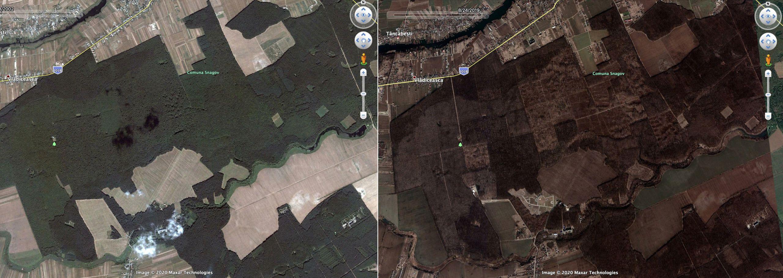 Codrii Vlăsiei, vedere din satelit: 2002 vs. 2019
