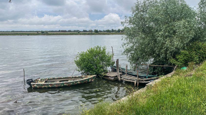 Foto: Cristina Foarfă