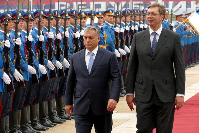 foto: ID 77866961 © Ognjen Stevanovic | Dreamstime.com