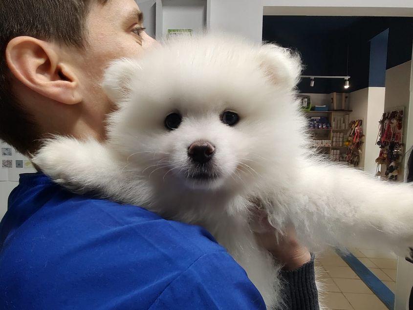 Foto: Charlie's Clinic Vet