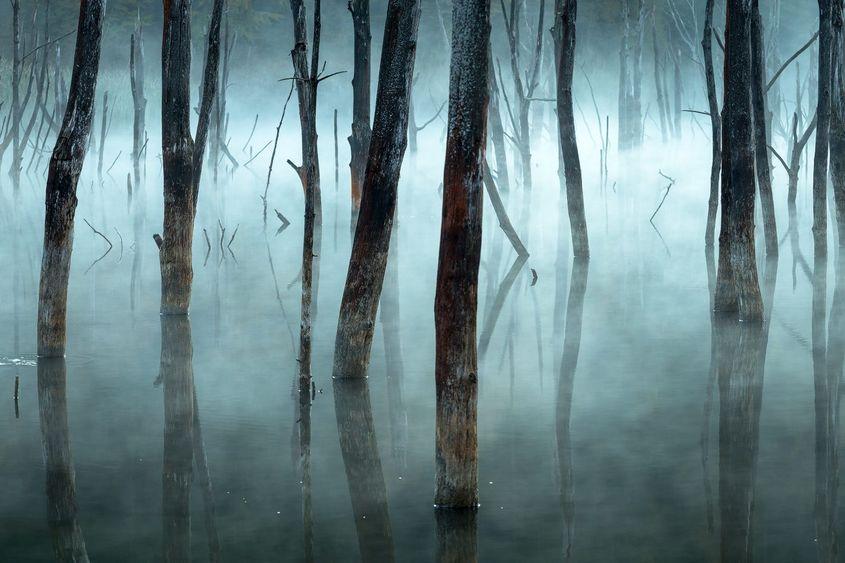 © Gheorghe Popa