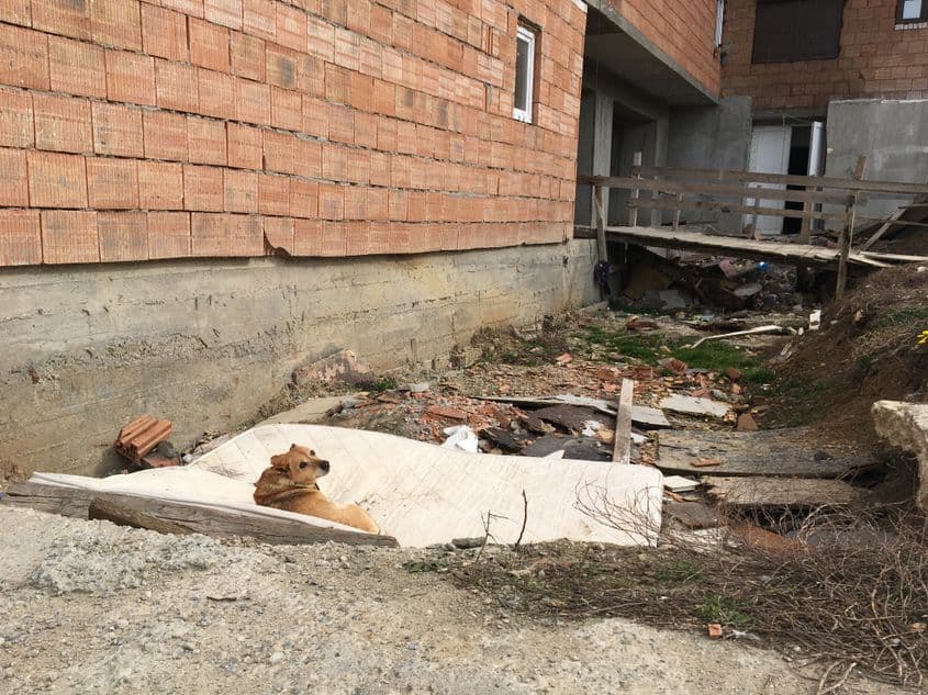 Fotografii dintr-una din clădirile construite de Traian Onuc în Cluj-Napoca. Foto: Bianca Felseghi