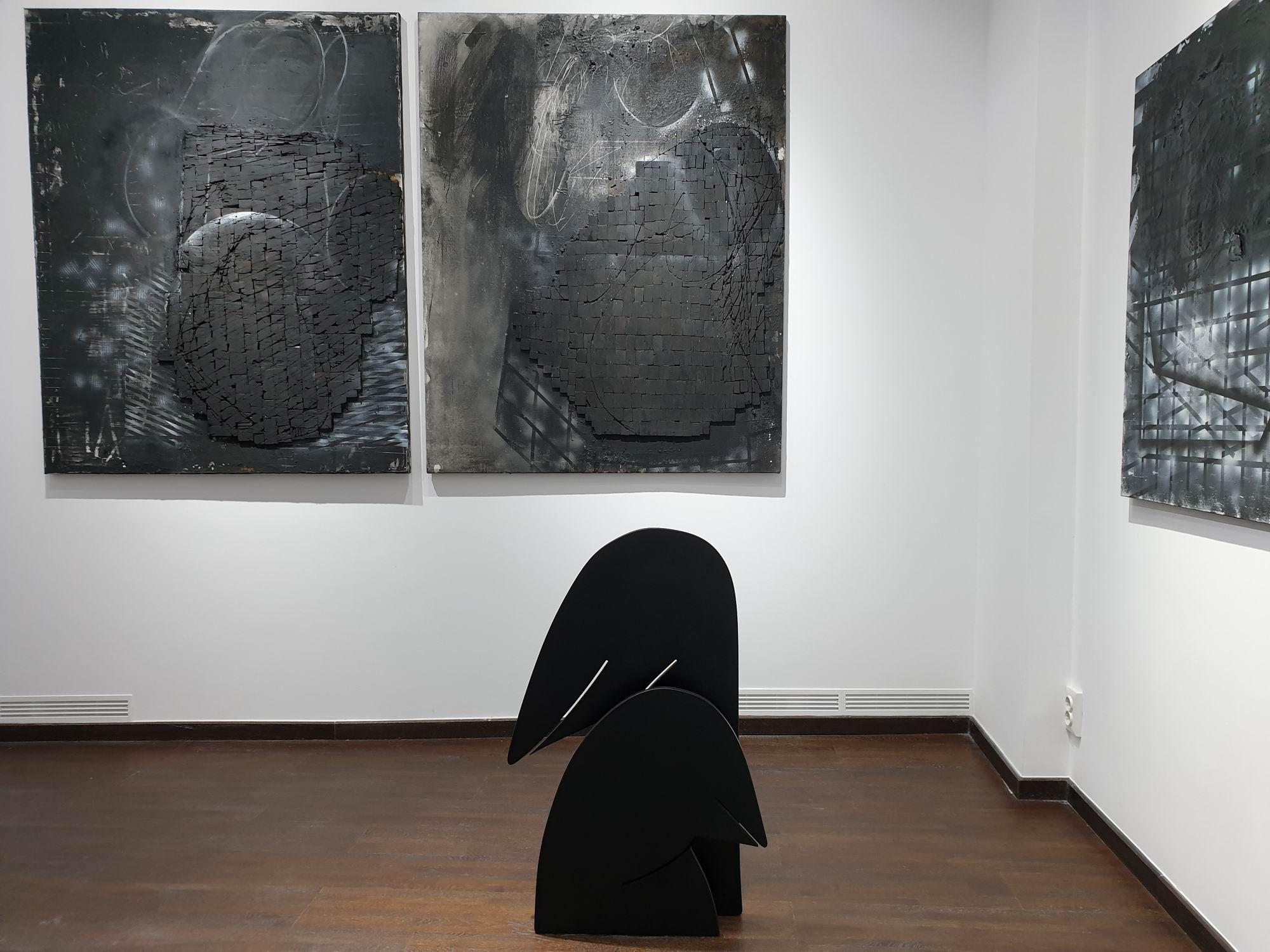 <em>Expoziția "Diptic - Clarobscur" - Petru Lucaci. Foto Lucian Muntean</em>