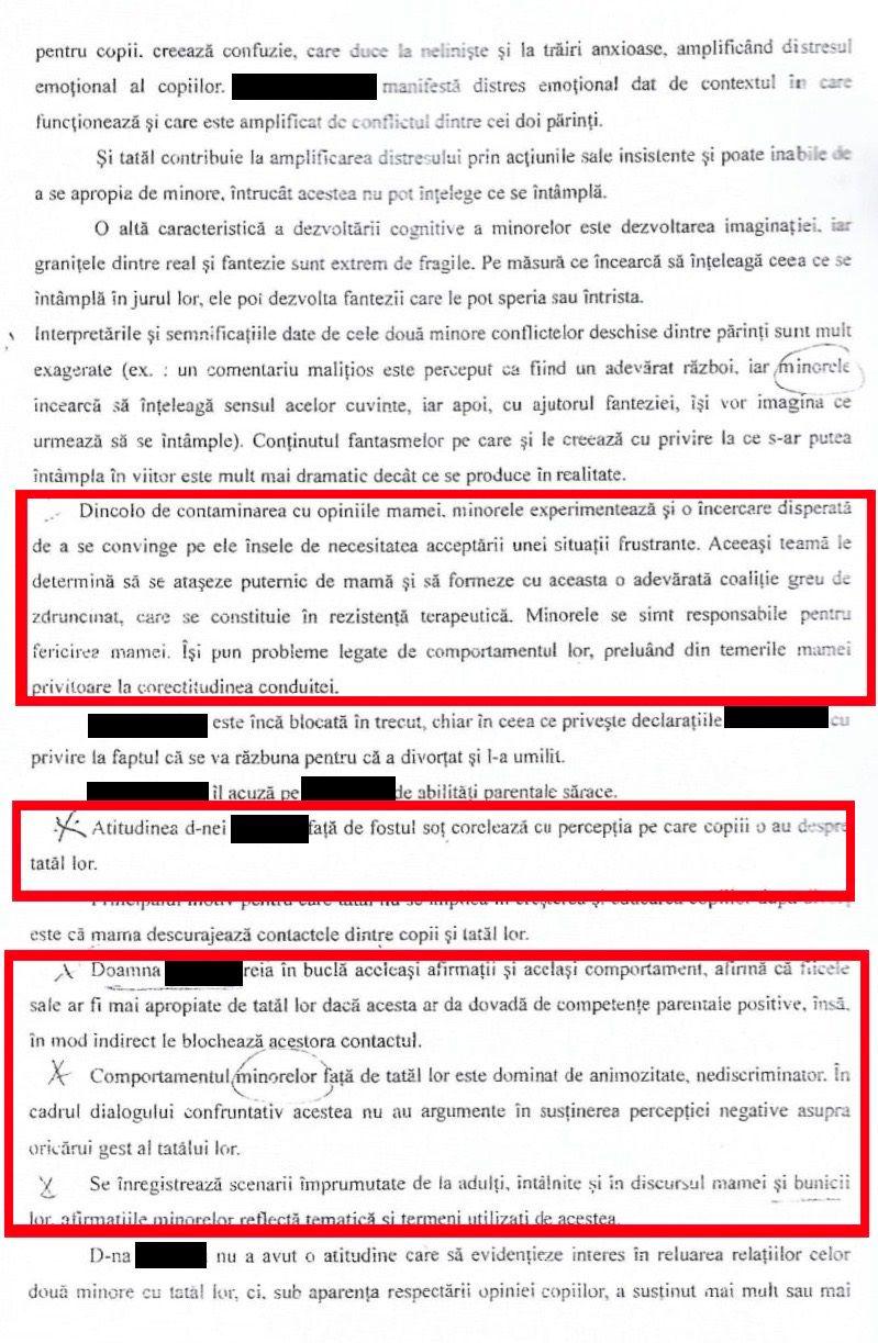 Concluzii raport familia Ilie - psiholog Katrinel Armășelu (2017)