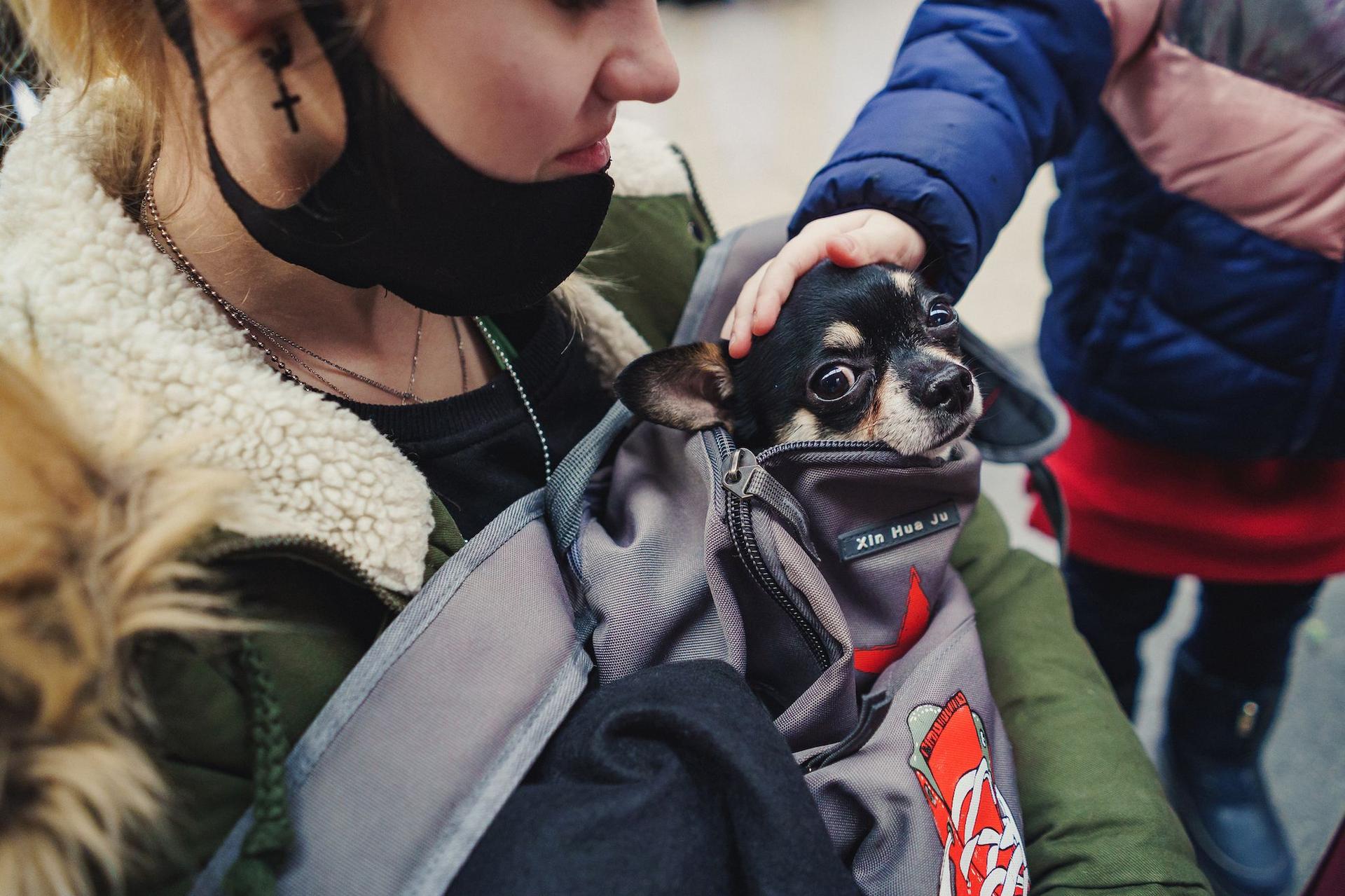 Gara de Nord, București, martie, 2022. O refugiată ucraineană a fugit cu bagajele, copiii și un cățel. Foto: Ioana Epure