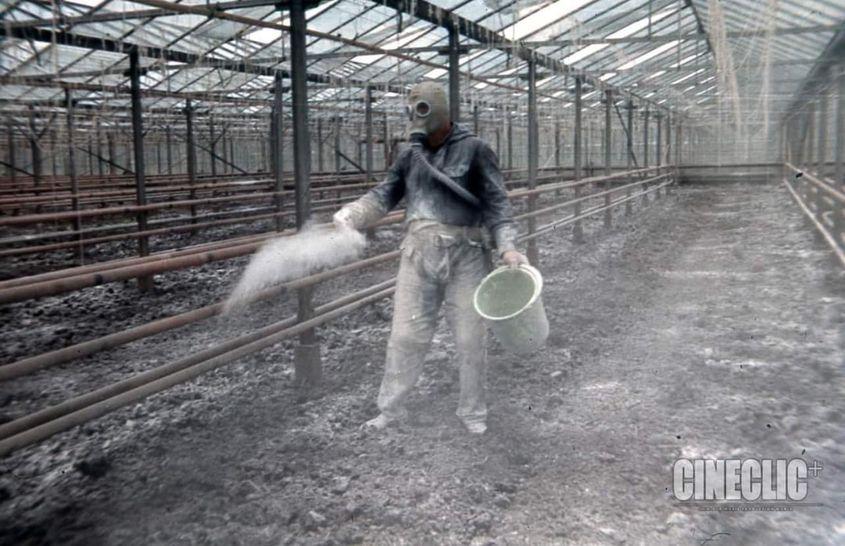 Chimizarea agriculturii în comunism. Foto: Cineclic, captură de ecran.