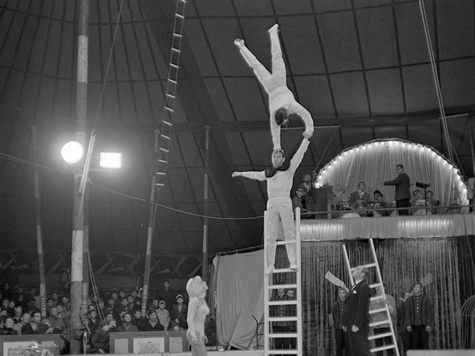 Foto: <a target="_blank" rel="noreferrer noopener" href="https://www.photoarchive.minerva.org.ro/Ro" target="_blank">Arhiva Minerva</a>