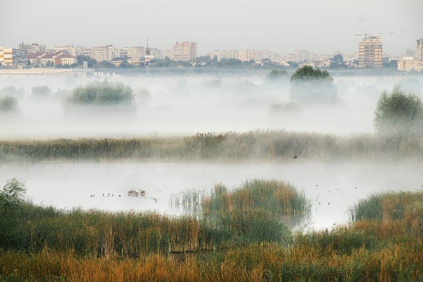 Copyright Helmut Ignat, Asociația Parcul Natural Vacărești