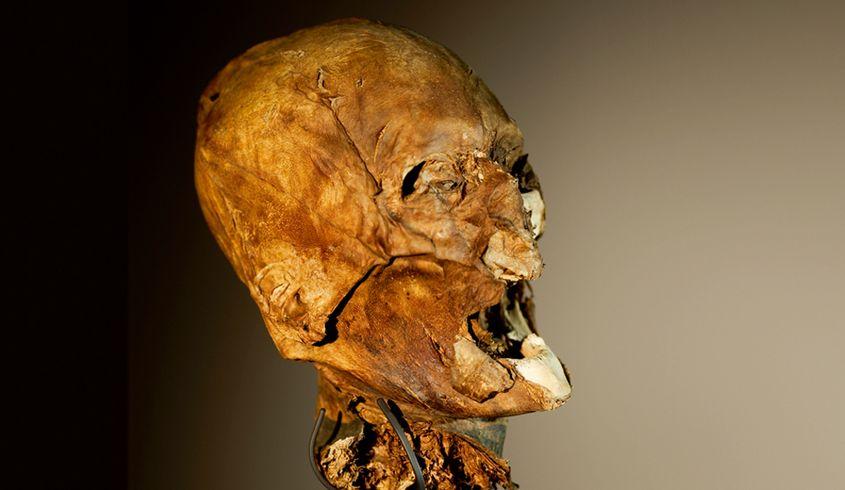Capul mumificat al regelui Henric al IV-lea, așa cum a fost descoperit. Foto: medievalists.net