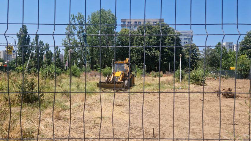 Excavatorul cu număr de Giurgiu adus de Stănculescu pentru a decoperta masa vegetală rămasă pe terenul fostului parc Codrii Neamțului. Sursă foto: Răzvan Filip