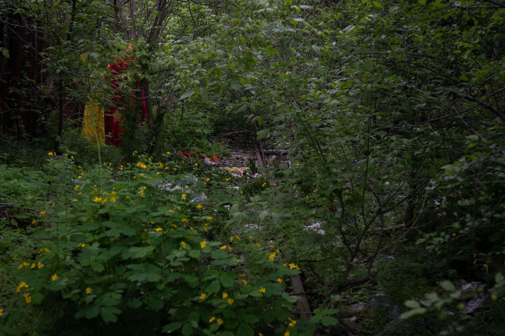 <em>Strada Zăbrăuțului</em>. Foto: Andreea Câmpeanu