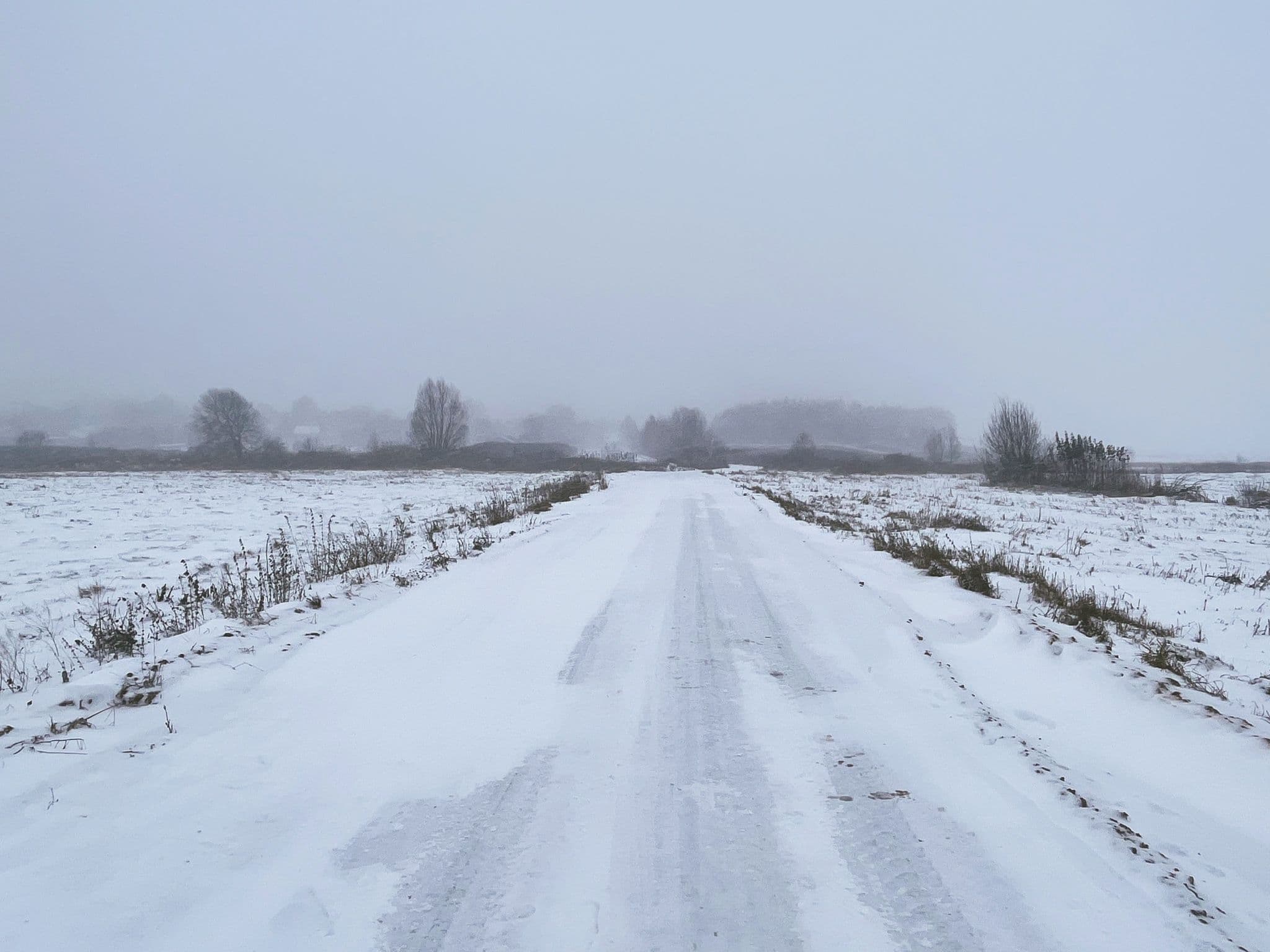 Lungul drum al unui refugiat care doar ce reușit să sară gardul care separă Belarusul de Polonia