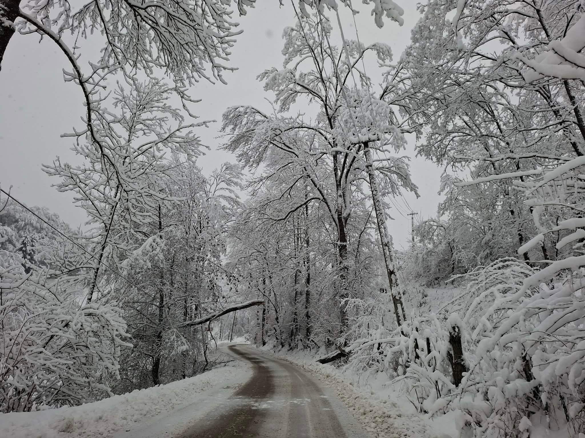 Foto: Raluca Abrudan