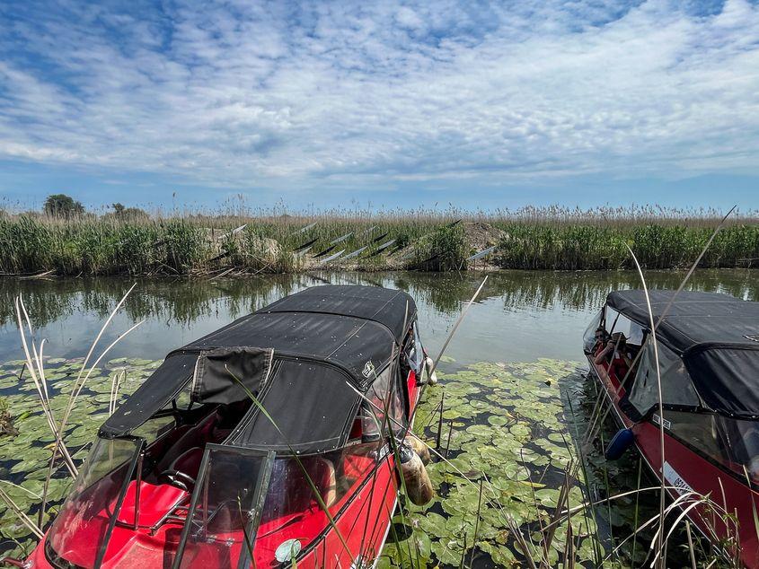 Foto: Cristina Foarfă