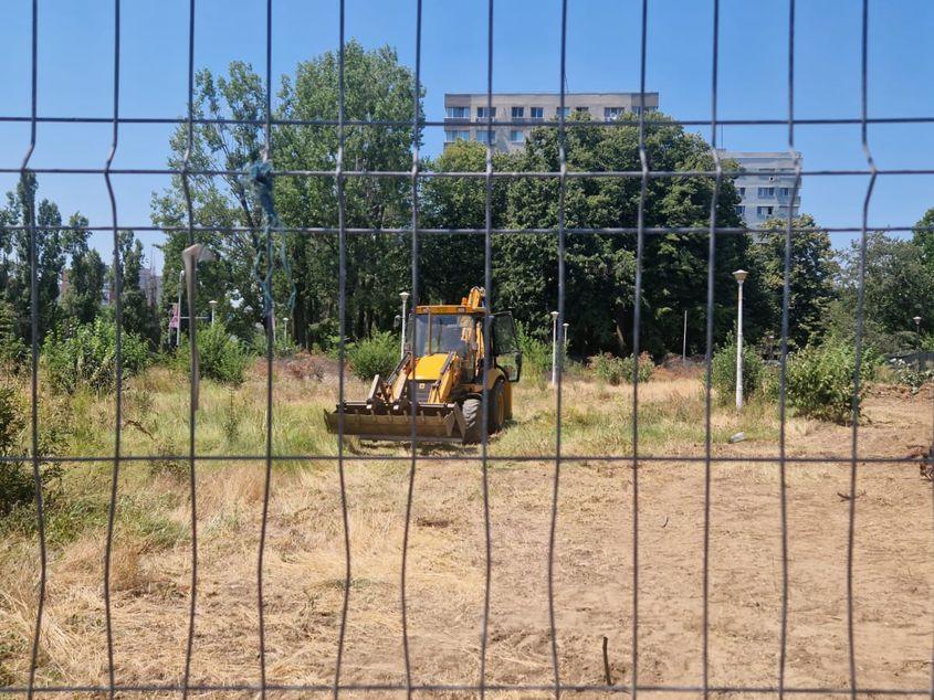 Excavatorul cu număr de Giurgiu adus de Stănculescu pentru a decoperta masa vegetală rămasă pe terenul fostului parc Codrii Neamțului. Sursă foto: Răzvan Filip