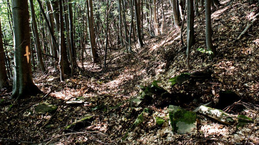 Una dintre ascunzătorile lui Gheorghe Pașca din Munții Țibleș, nedescoperită de Securitate. Foto: Raul Ștef