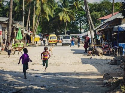 Jurnal tanzanian (II)