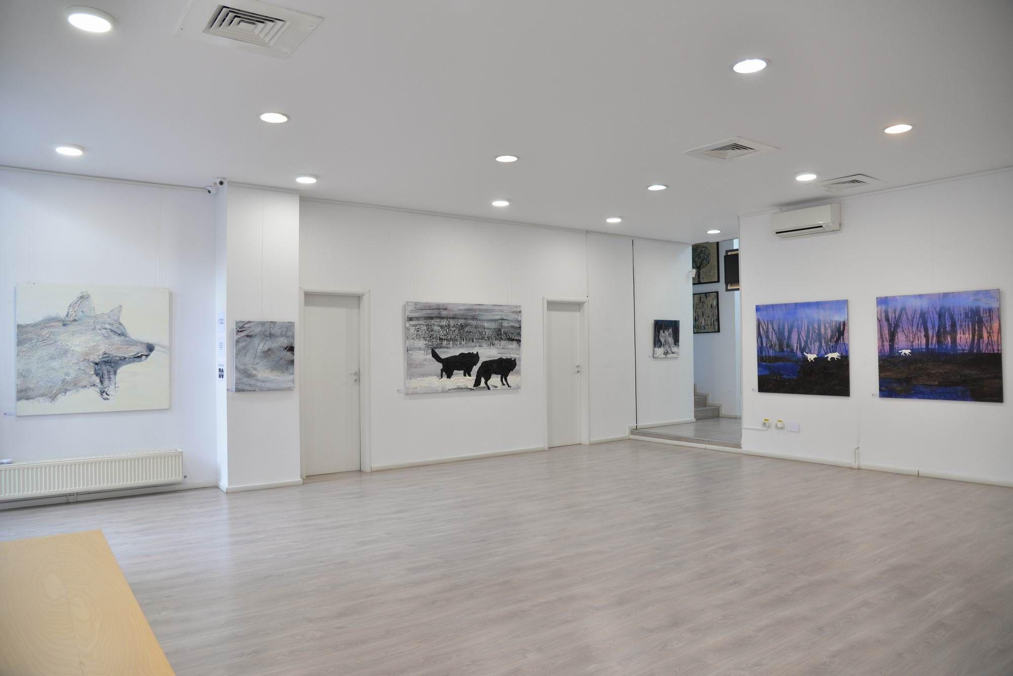 <em><em>Expoziția Gabrielei Culic. Foto Lucian Muntean</em></em>