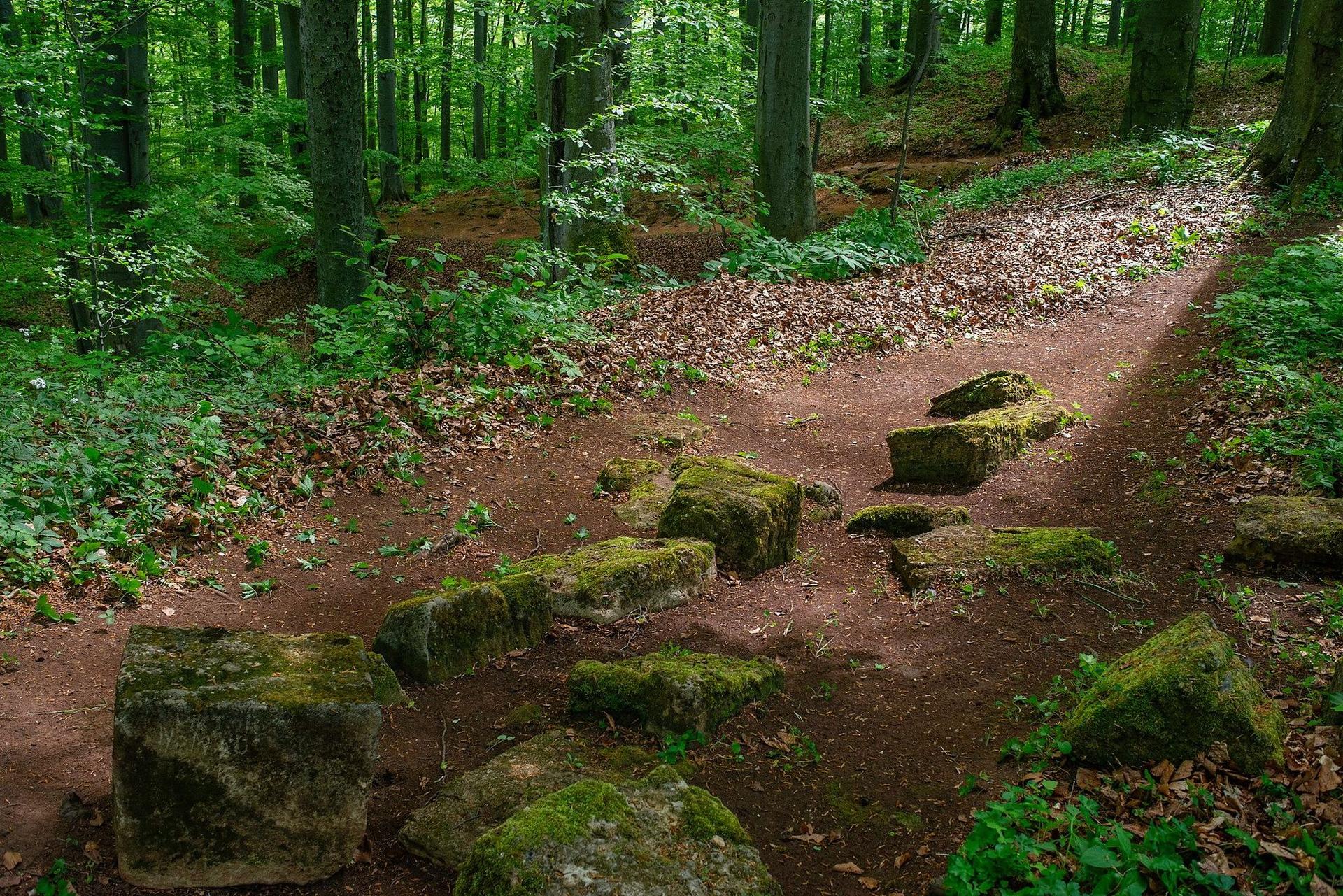 Pietre din cetatea dacică Piatra Roșie
