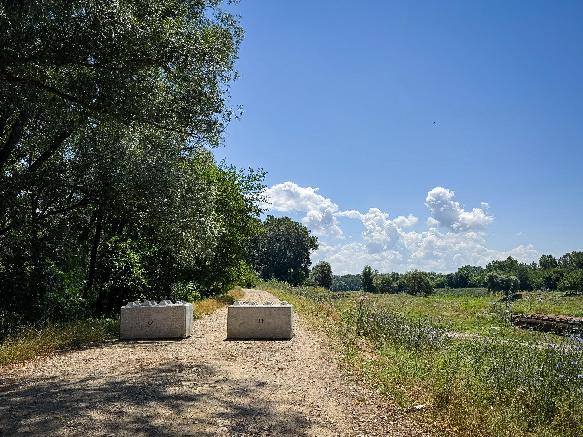 Plajele de la Dunăre: Gostinu, Giurgiu. Foto: Ana Tepșanu