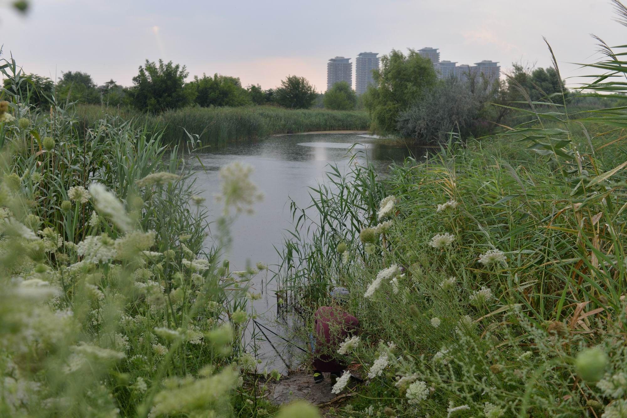 Parcul Natural Văcărești. Foto: Lucian Muntean