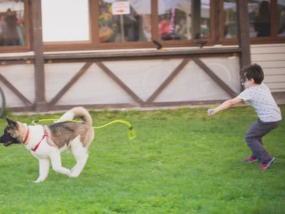 La ce să te gândești înainte să îi iei copilului un cățel