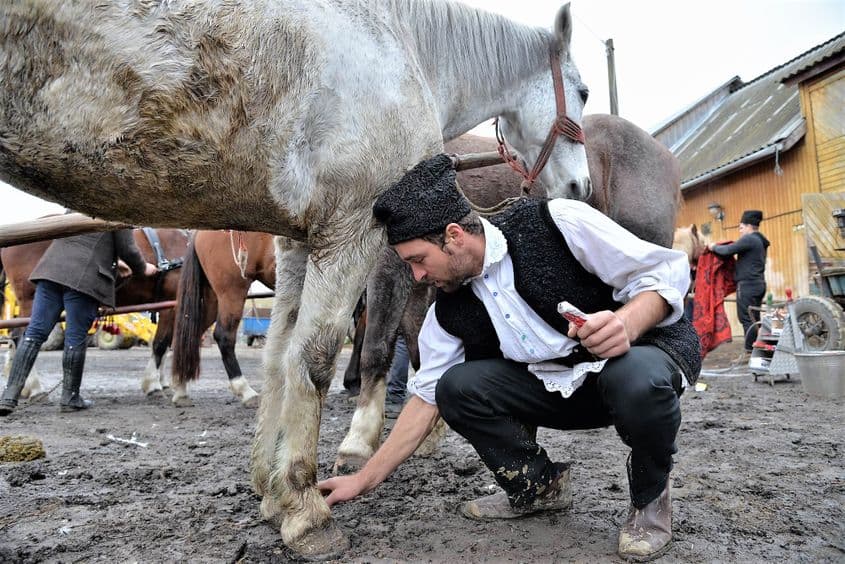 Vasile Buda a plecat la marea sărbătoare cu toată averea lui: caii și căruța.
