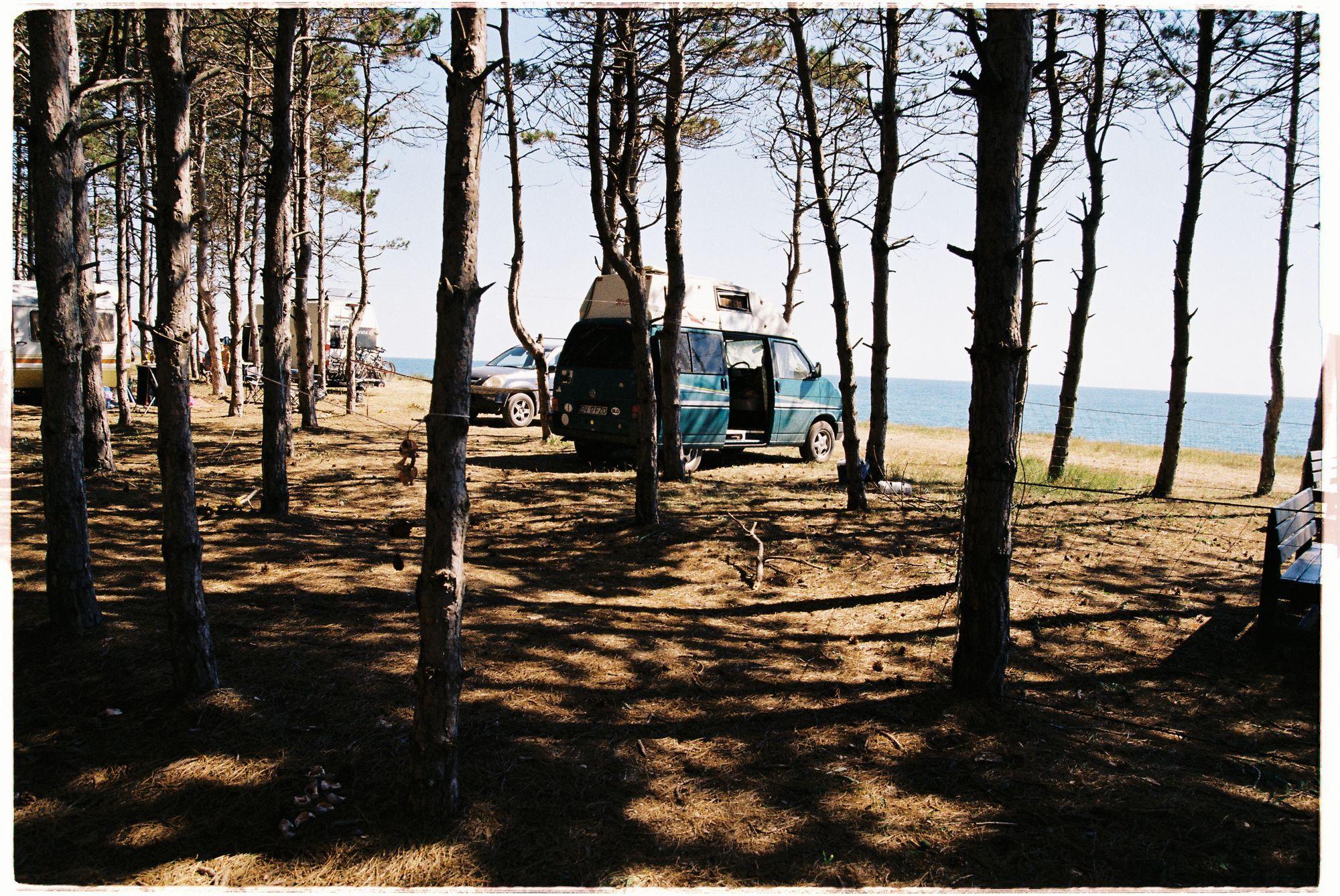 Păduricea de pini și o dubiță de campare sunt tot ce ai nevoie pentru o relaxare absolută. Foto: Ioana Epure