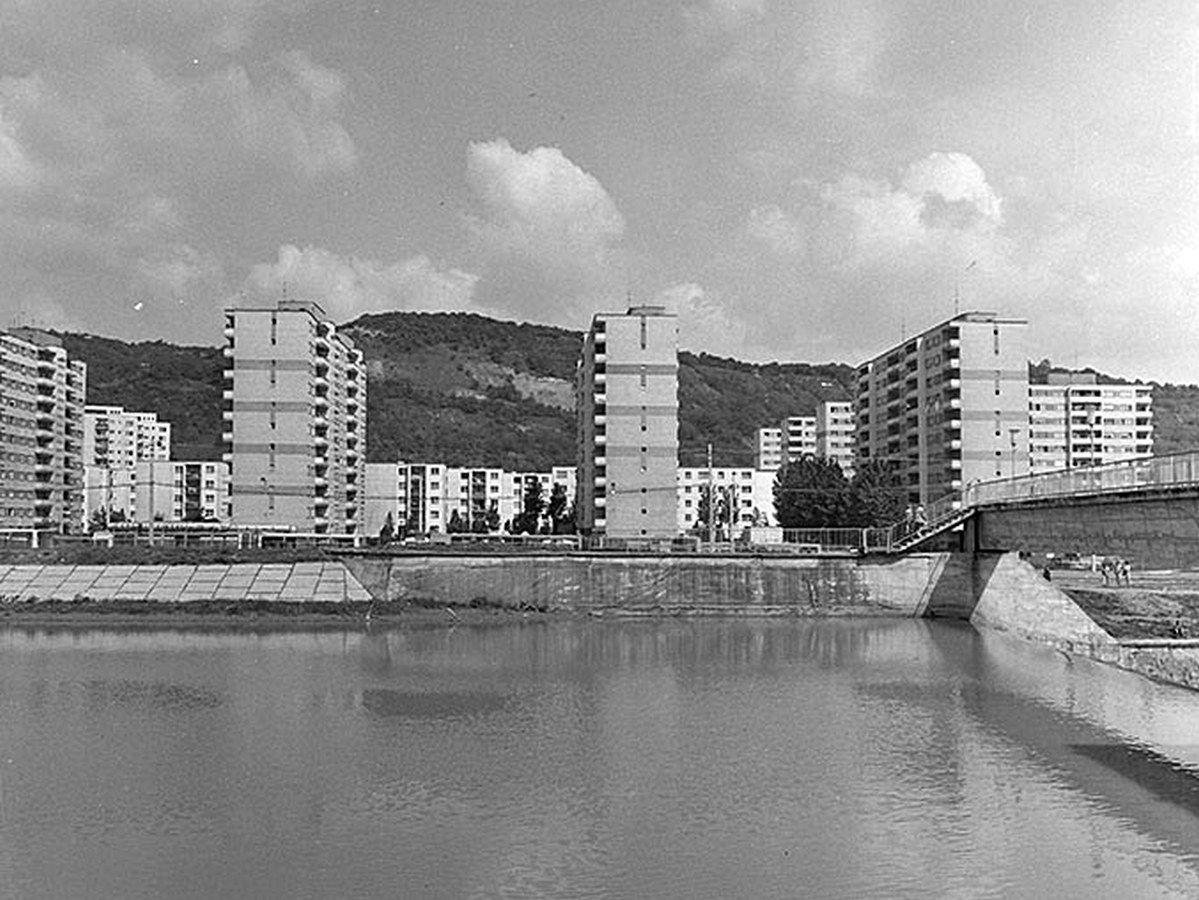 Lamele din cartierul Grigorescu, între râul Someș și Pădurea Hoia. Cluj.