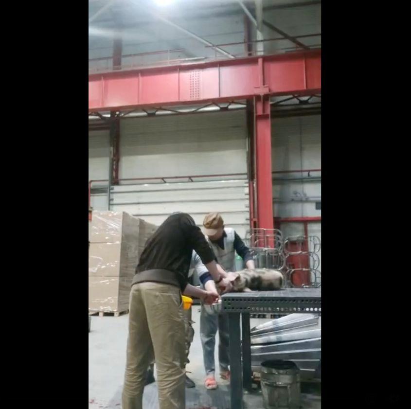 Muncitorii vietnamezi muncesc, trăiesc și se hrănesc în hala fabricii care i-a adus în România. Foto: screenshot Facebook Van Minh