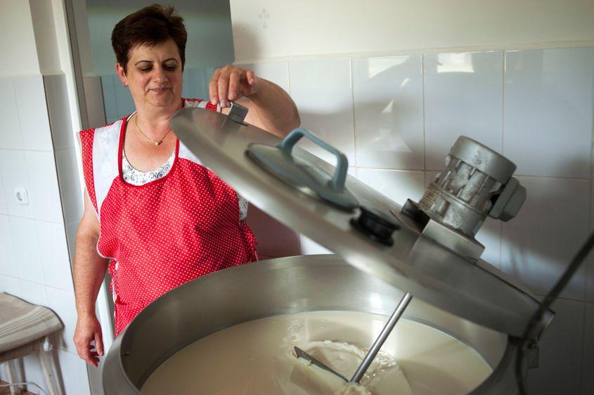 De la casierie la preparat brânzeturi e o cale extrem de lungă. Cam de două vieți.