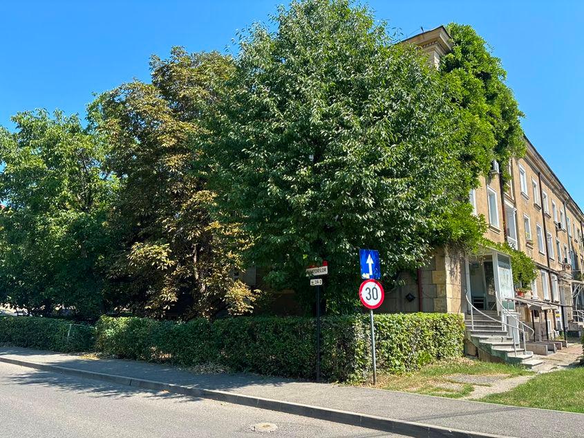 Un oraș în care arborii maturi sunt bine îngrijiți, chiar prin irigare și fertilizare dacă e necesar, iar gardurile de metal sunt înlocuite cu garduri vii și arboret, în care spațiile verzi nu sunt alcătuite doar din gazon, ci mai ales din plante autohtone rezistente la secetă și cu înflorire anual