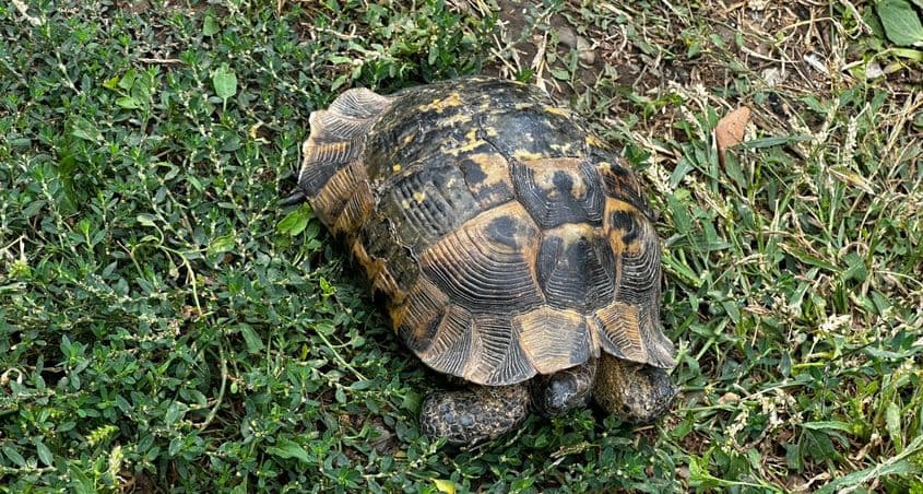 Sursa: suceavaexpres.ro