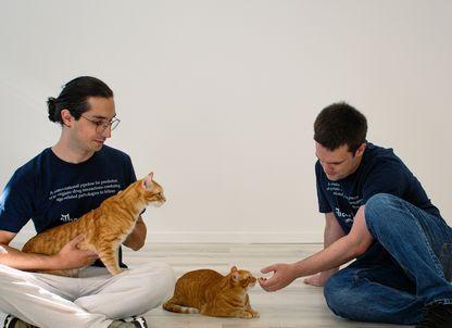 The Cat Health Company: ce ne pot învăța pisicile despre tinerețe fără bătrânețe